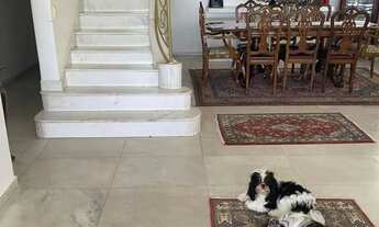 Imagem 4: Duplex para venda com 397 metros quadrados com 5 quartos em Boa Viagem - Recife - PE