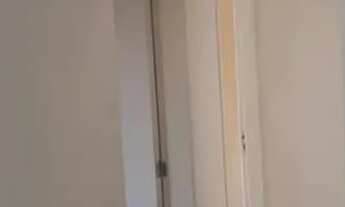 Imagem 3: Imóvel para aluguel com 64 metros quadrados com 3 quartos em Jardim Esmeralda - São Paulo