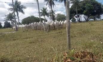 Imagem 2: 380 ta. Br 101/ Lage -Ba