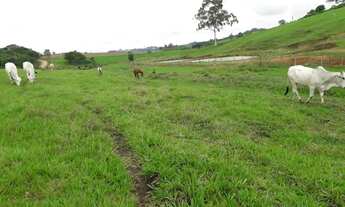 Imagem 6: Área para venda perto do Centro de Monte Mor estuda permuta