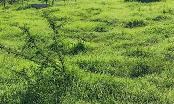 Imagem 5: Fazenda próximo a Montes Claros