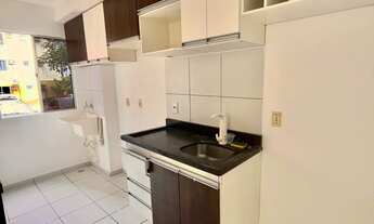 Imagem 4: Alugo apartamento 2 qtos - Condomínio Lírio