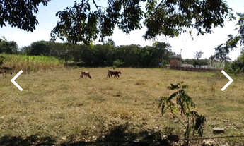 Imagem 3: Chacara vila guay ibaiti pr