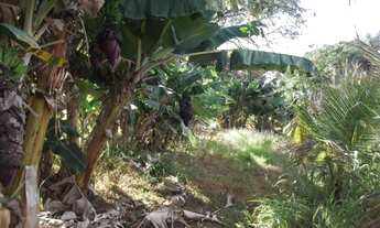 Imagem 3: Lindo sitio de 20 mil metros(Baldim) Temos varias opções)