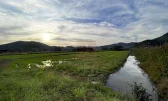 Imagem 4: Gaspar - Terreno Padrão - Lagoa