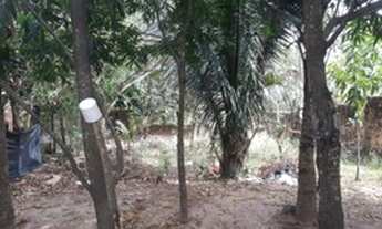 Imagem 6: Vendo Casa/sítio vila Maranhão