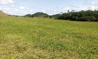 Imagem 3: Fazenda/Sítios/Chácaras