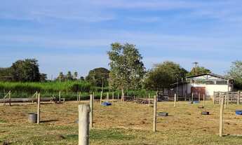 Imagem 5: Vendo Chácara Chácara com venda por R$650.000