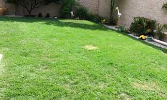 Imagem 7: Casa para aluguel possui 500 metros quadrados com 5 quartos em Barra Nova - Marechal Deodo