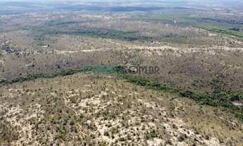 Imagem 6: FAZENDA DE 745 HA EM ESTADO BRUTO BOA PARA PLANTIO DE EUCALIPTO E OUTRAS