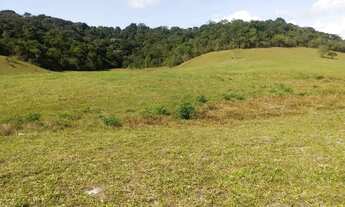 Imagem 5: Fazenda/Sítios/Chácaras
