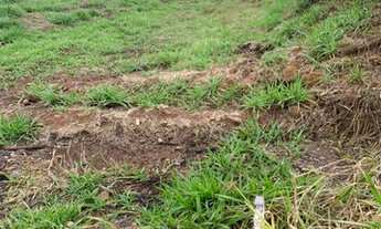 Imagem 2: Terreno de 500m² (Local fechado