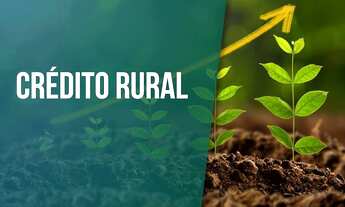 Imagem: Leia a descrição / Realize seu sonho!