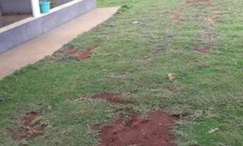 Imagem 3: Vendo Sítio Próximo a Pedra Preta-MT