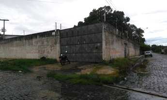 Imagem 3: Grande galpão para distribuidoras ou depósitos, 4 mil M² de área total, no Dirceu!