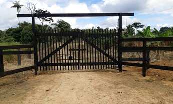 Imagem 2: Venda ou troca essa chácara em casa ou apartamento