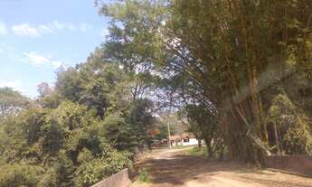 Imagem 7: Excelente Fazenda para Gado em Piracicaba