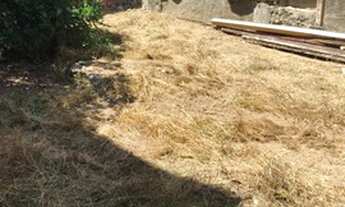 Imagem 5: Casa Casa com 2 dormitórios