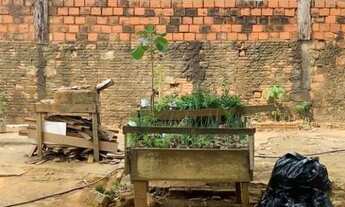 Imagem 4: Terreno Ariquemes Setor 2