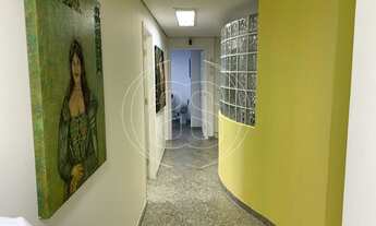 Imagem 7: São Paulo - Conjunto Comercial/Sala - Moema Pássaros