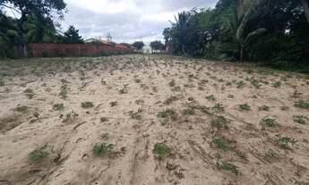 Imagem 4: Sítio Chácara com venda por R$235.000