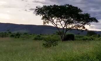 Imagem 2: Chácara Chácara com venda por R$150.000