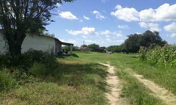 Imagem 7: Fazenda com 290 hectares entre Macaíba e são Pedro do Potengi