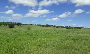 Imagem 4: Fazenda com 290 hectares entre Macaíba e são Pedro do Potengi