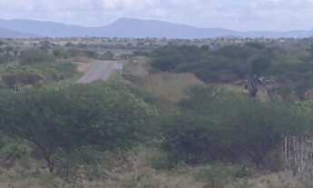 Imagem: Chácara com 17 tarefas toda no capim