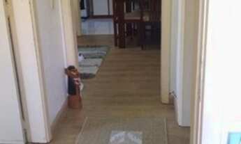 Imagem 2: Apartamento em Jardim Ypu