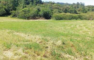 Imagem 3: Chácara de 2 Hectares plana, nascente e riacho
