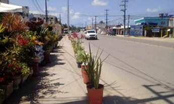 Imagem 4: Terreno com casa