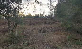 Imagem 7: Vendo Chácaras em Nova Hartz