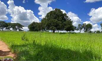 Imagem 3: Chácaras em prof jamil