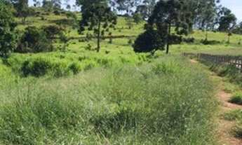 Imagem 6: Incrível Fazenda na cidade de São Pedro da União, estado de Minas Gerais