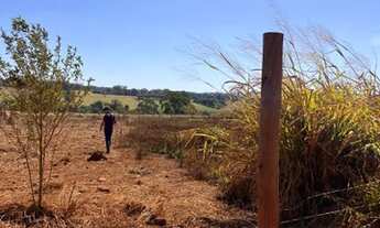 Imagem 7: Chácaras em Goiânira , região boca da mata