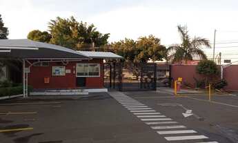 Imagem 2: Apartamentos Prontos! Novo/Usado! 2 ou 3 Dorm!