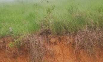 Imagem 4: Lote no Horto km5 Macaé