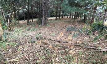 Imagem: Vendo Chácaras em Nova Hartz