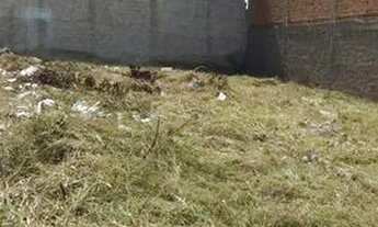 Imagem 4: 2 Terrenos em Caruaru - Bairro Indianápolis, próximo ao shopping