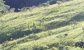 Imagem: Fazenda em Planaltina de Goiás