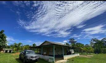 Imagem 3: Alugo casa em chácara