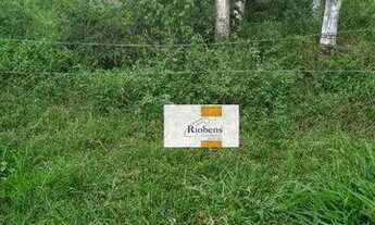 Imagem 2: Sitío em Auriflama quase 8 alqueires