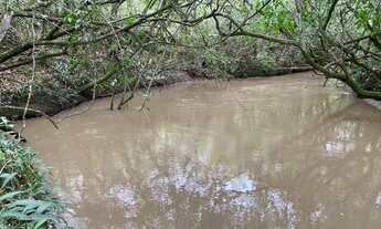 Imagem 6: Chácara muito barata a 70 km de Goiânia em cromínia com riacho