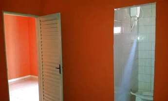 Imagem 2: Lote com 4 kit nets