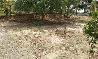 Imagem 4: Excelente Chácara - Venda/ Jacareí