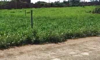 Imagem 3: Ágio 2 lotes (231m² e 220m²