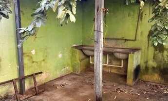 Imagem 6: Casa jardim Zara