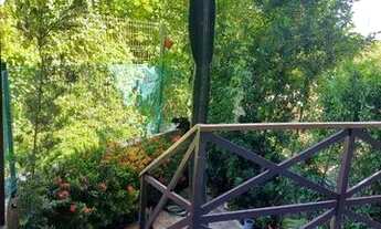 Imagem 3: Casa duplex na serraria