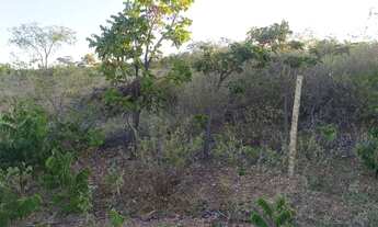 Imagem 5: Terreno para chácaras